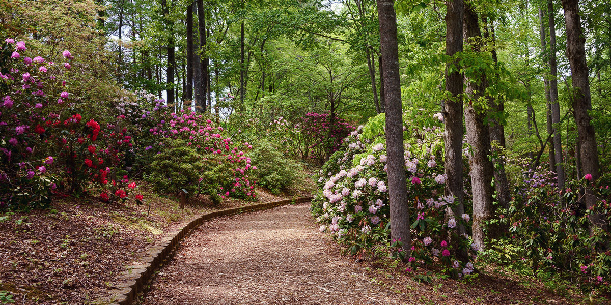 Hamilton Gardens